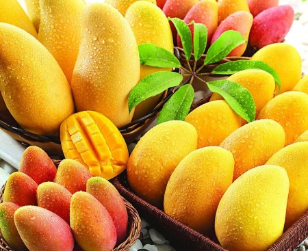 芒果大家都会吃 可芒果馅料怎么吃呢